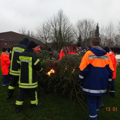 Bild vergr&ouml;&szlig;ern: Tannenbaum 2