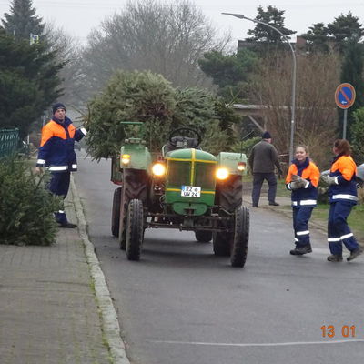 Bild vergr&ouml;&szlig;ern: Tannenbaum 1