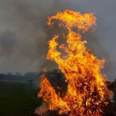 Bild vergr&ouml;&szlig;ern: Tannenbaum 4