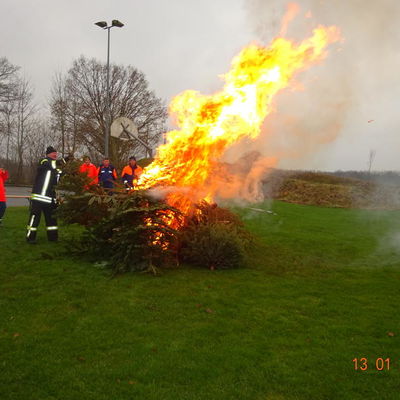 Bild vergr&ouml;&szlig;ern: Tannenbaum 3